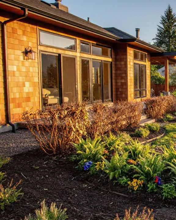 After: a cleared yard with fresh beds