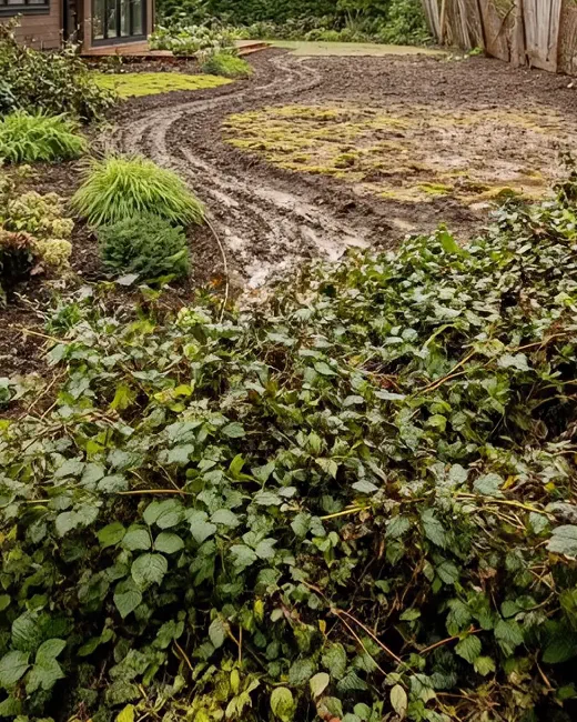 Before: a muddy track through weeds